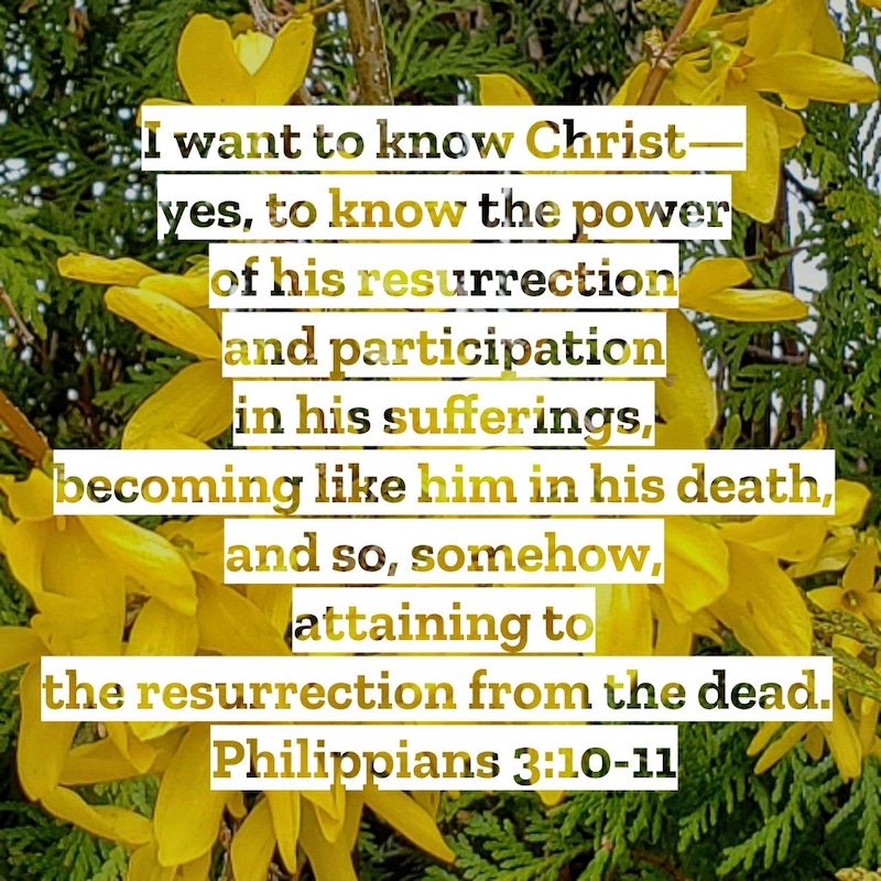 LENT 2023 - Jesus Said: I Am The Resurrection and The Life